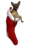 chaussette images-animées-gif